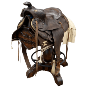 Saddle stand champion